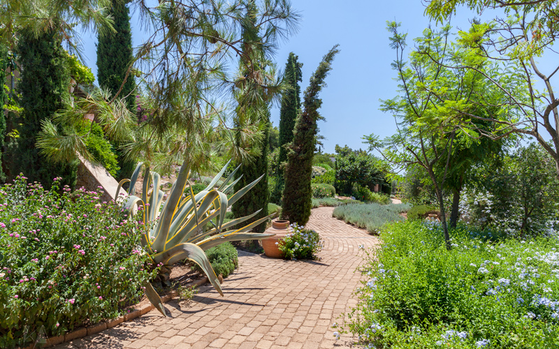 garden