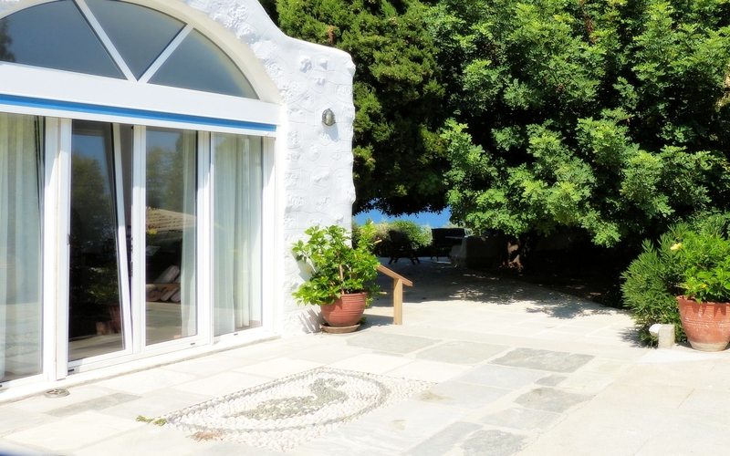 yard and garden area