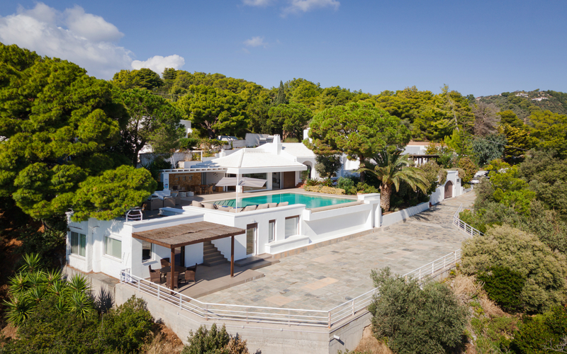 aerial of the villa