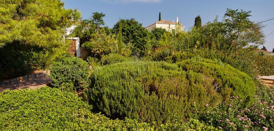 Villa ARTEMIS